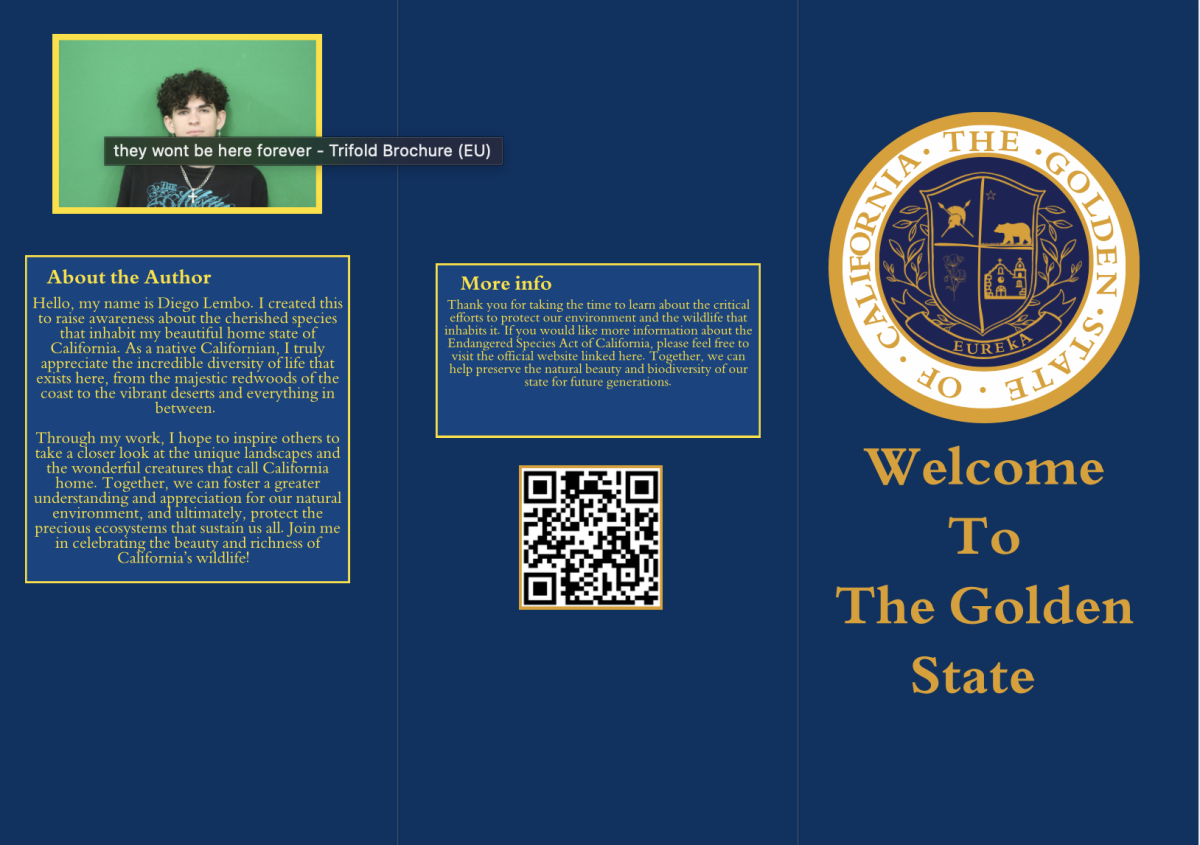brochure outside 